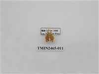 藏品(波紋斑苔蛾)的圖片